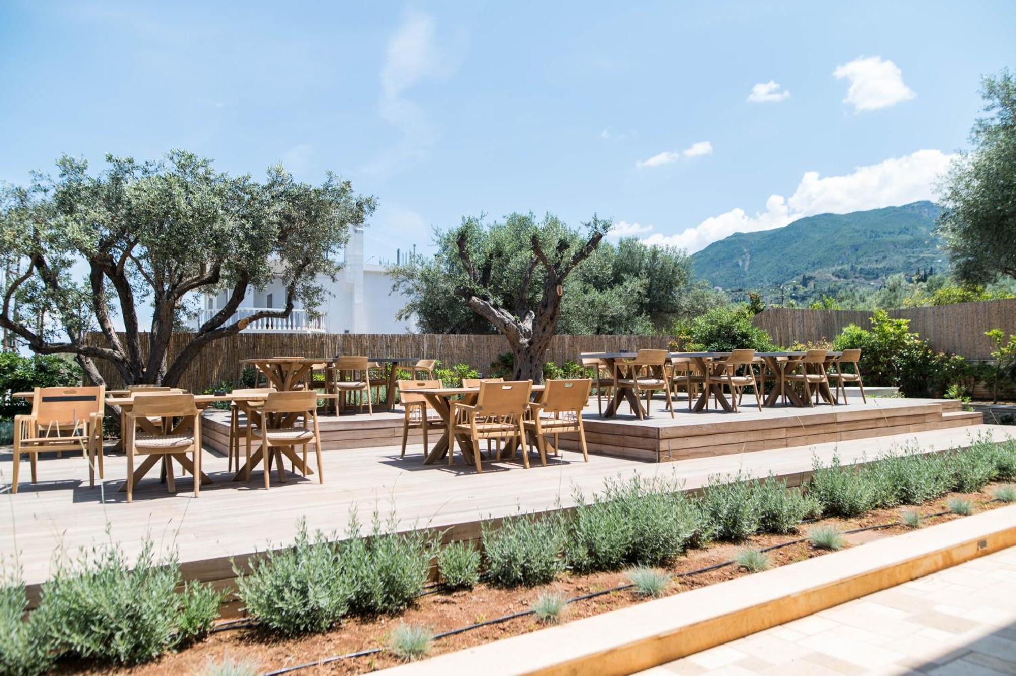 Alissachni Seaside Hotel Derveni Extérieur photo